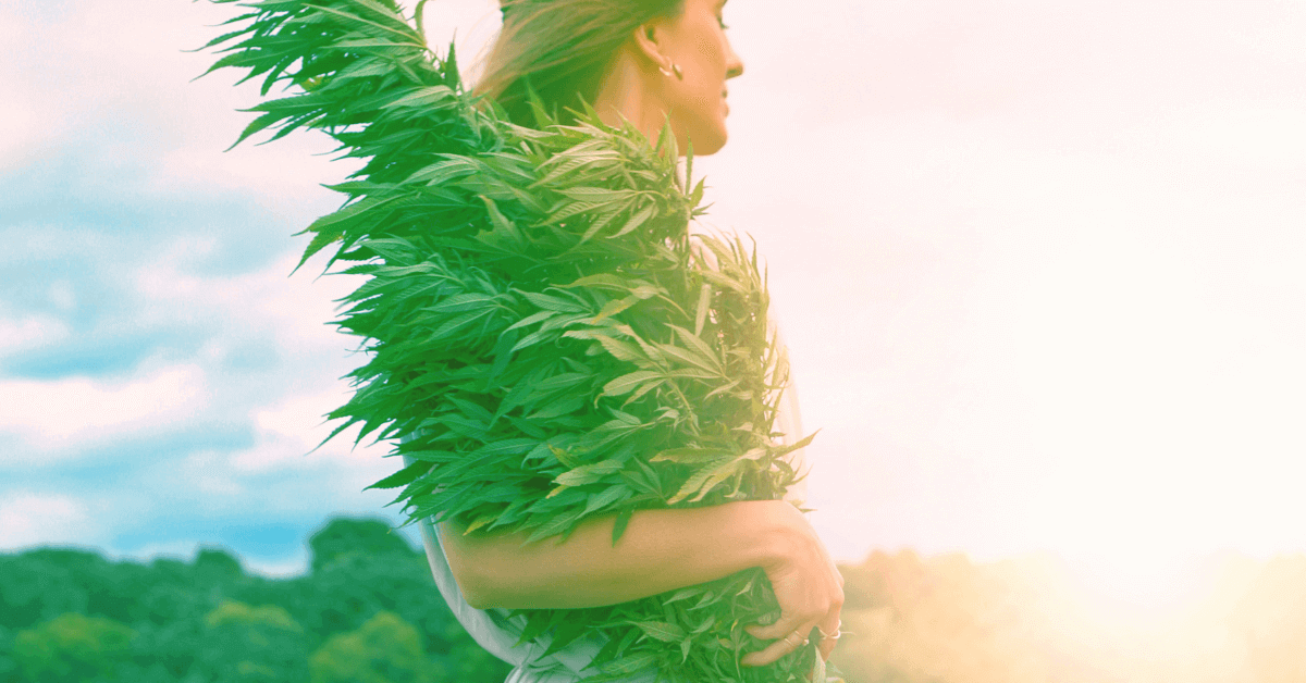 Cannabis Use and Motherhood