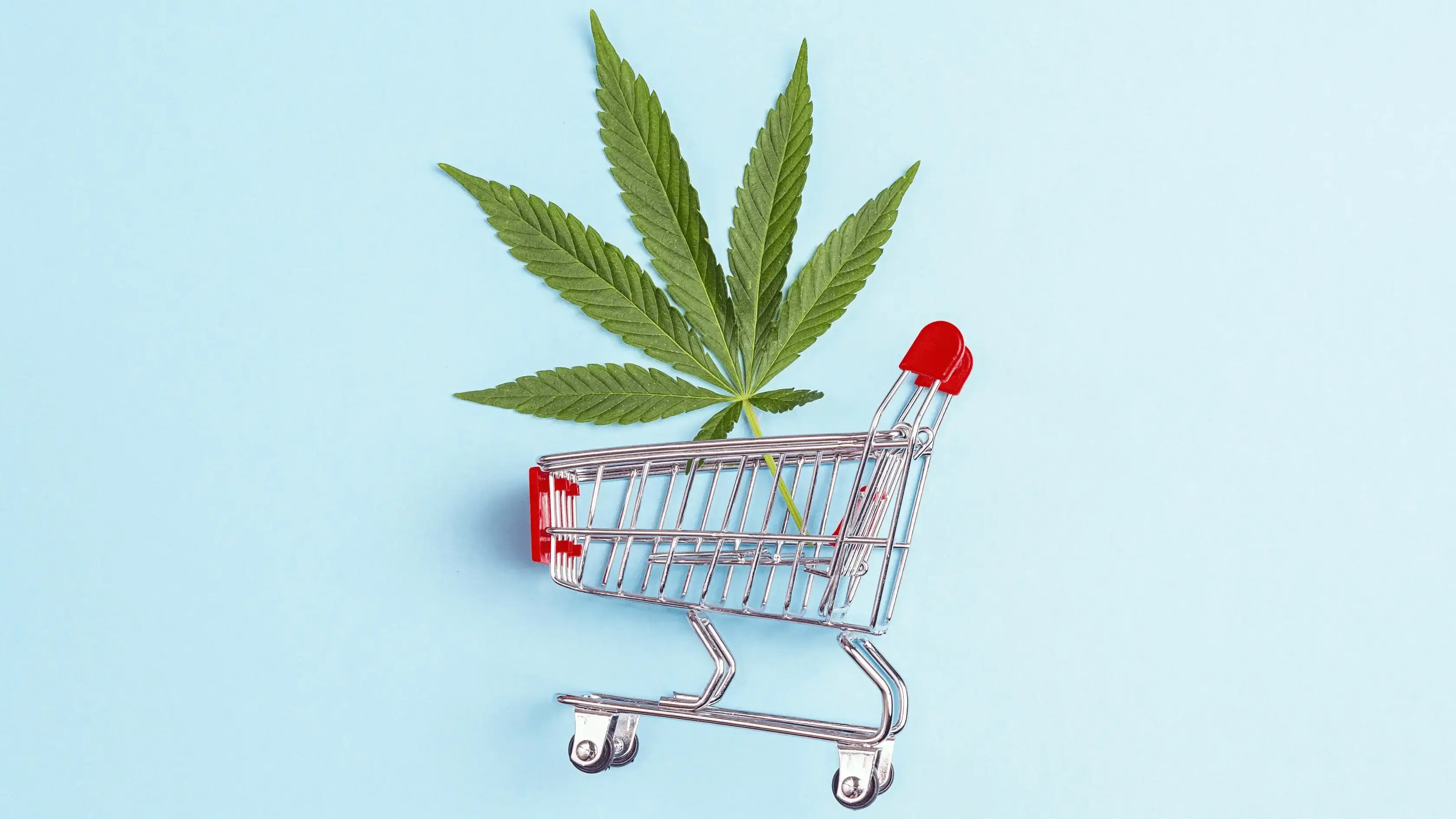 Tips for Gauging Cannabis Consumer Patterns