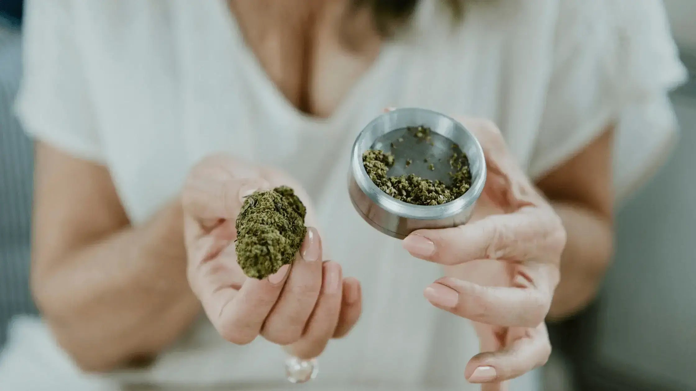 The Endocannabinoid System Explained: An Easy Guide