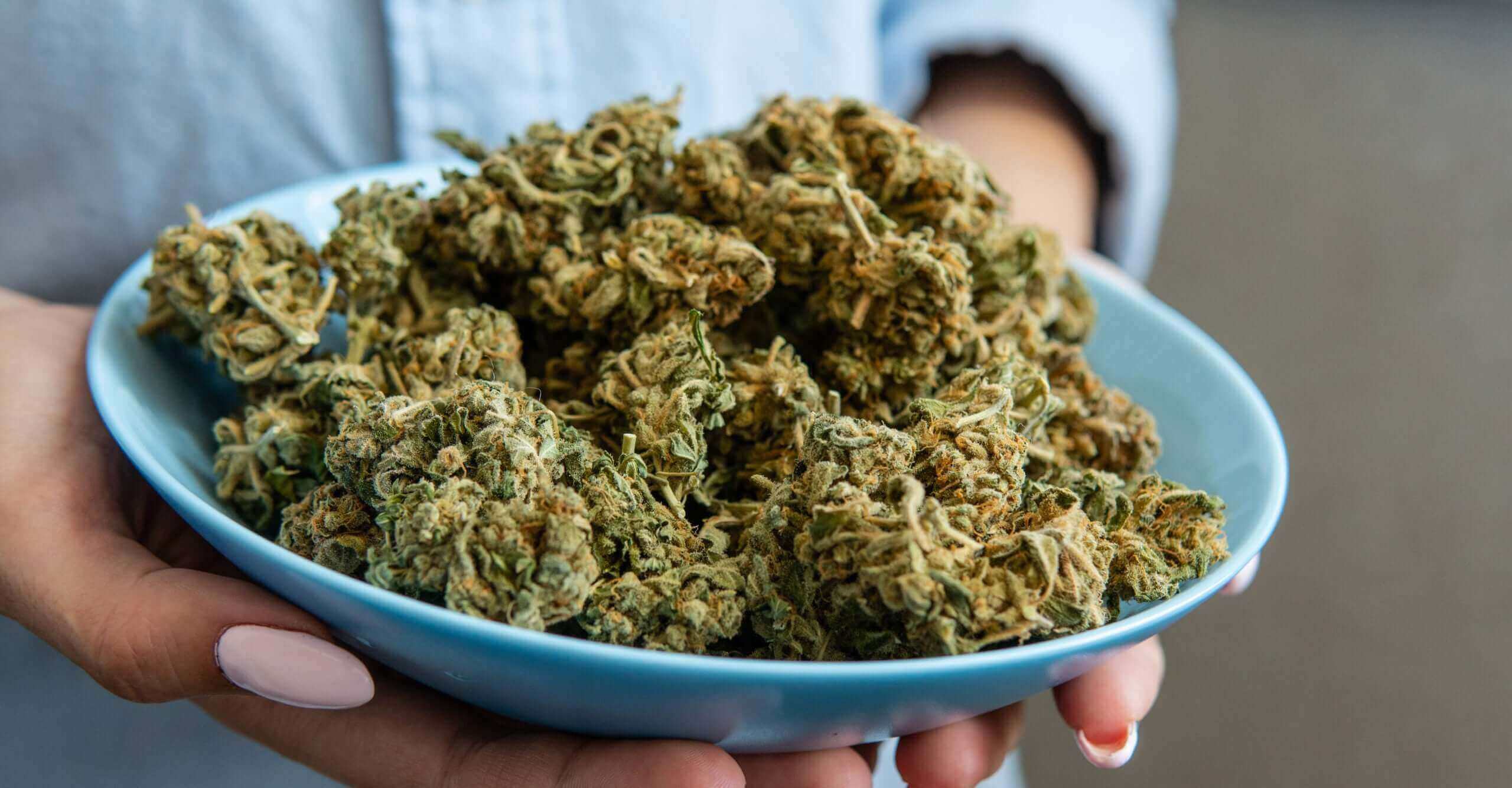 What is cannabigerol? tCheck guide to CBG cannabigerol