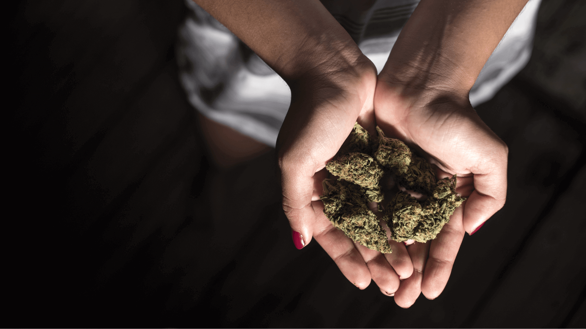 cannabis cultivars: six soothing strains for anxiety