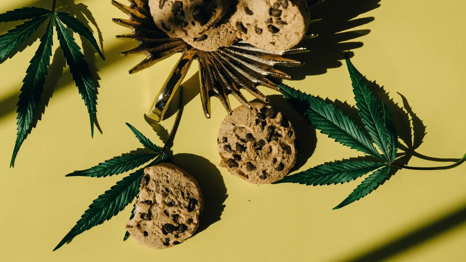 Top 4 Mistakes When Making Herb-Infused Edibles: A Guide to Accurate Potency Testing