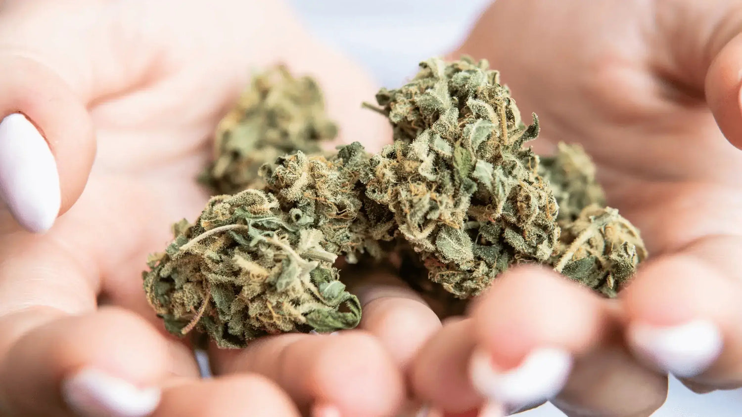 First-Time Toking: Your Guide to Selecting the Perfect Strain