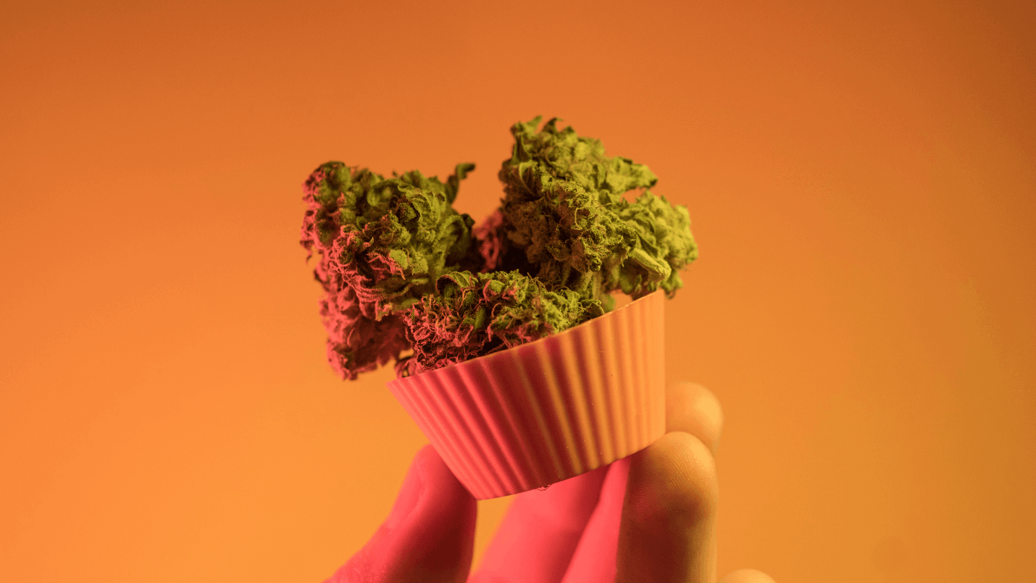 Storing cannabutter better-- what's the average shelf life of cannabis edibles?