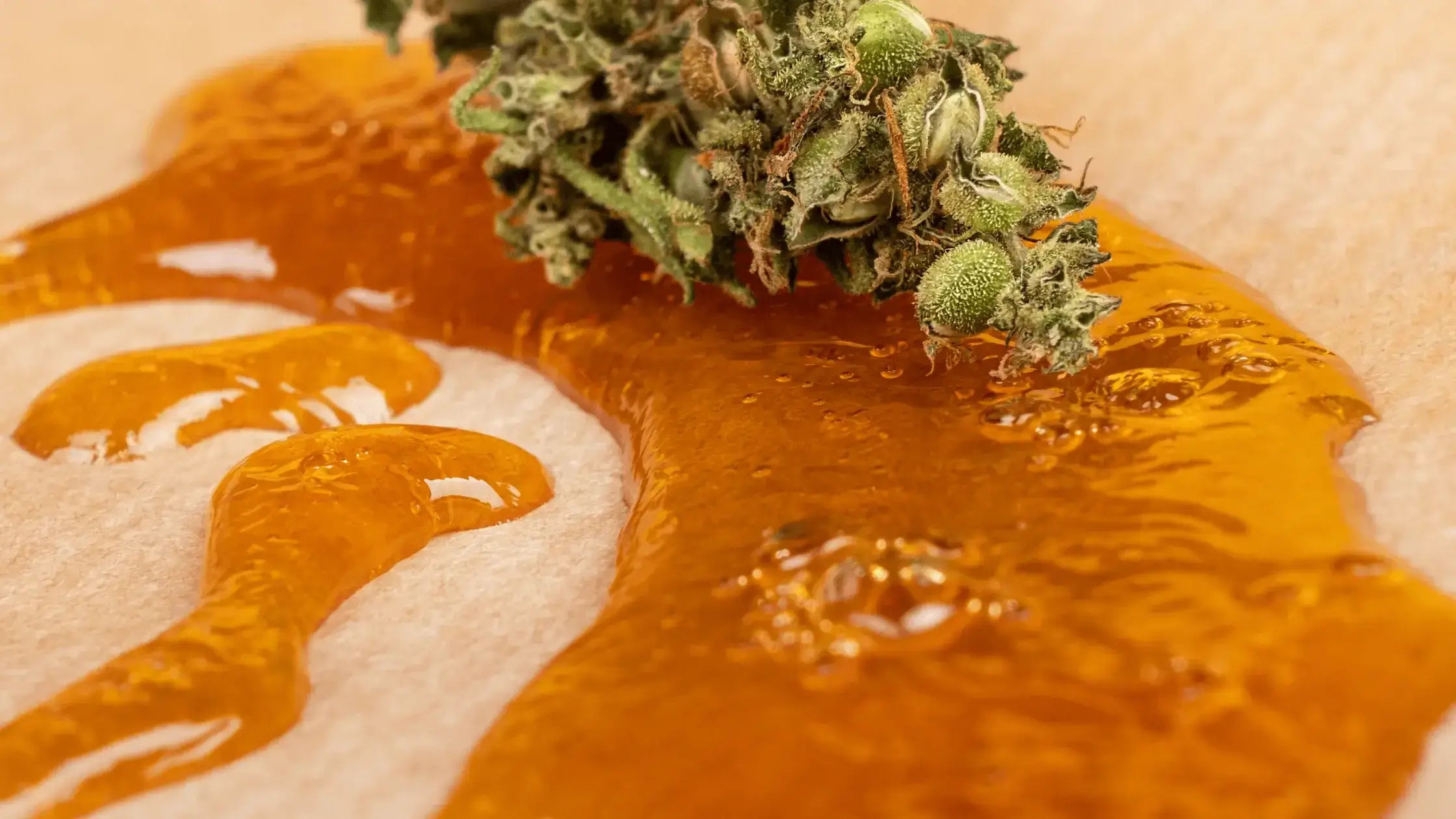 Guide to THC Distillation and Potency Testing