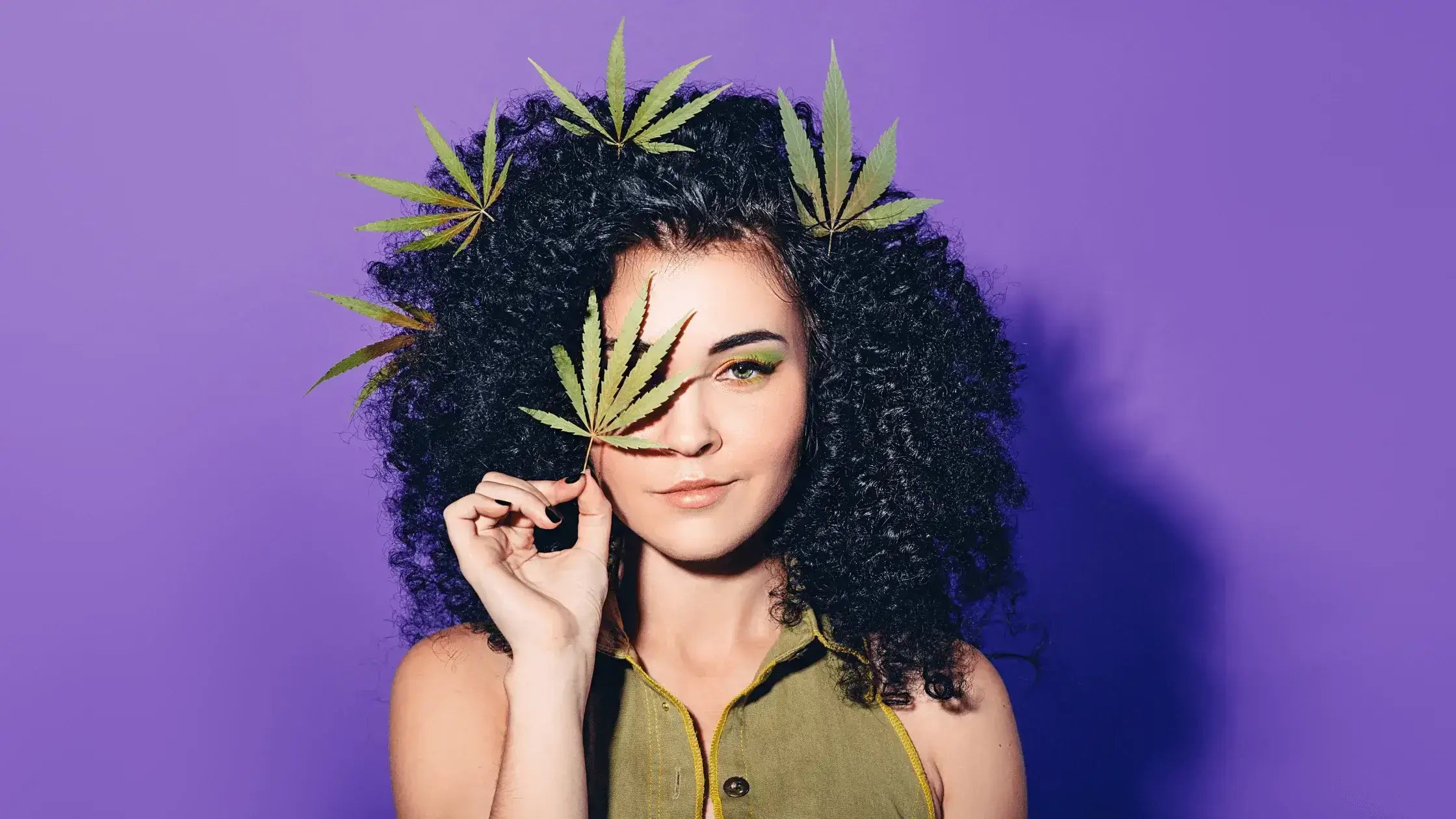 Cannabis Misinformation — A Few Common Facts & Myths About Weed