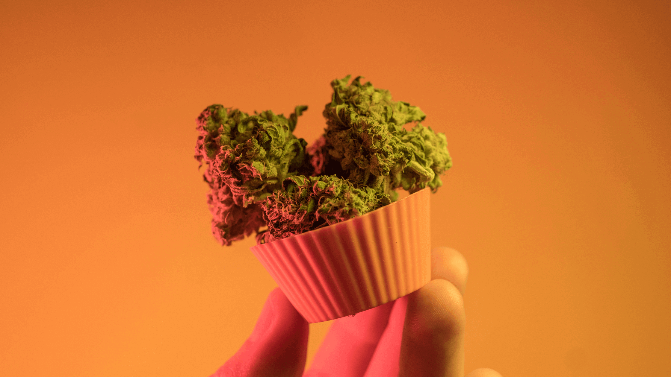 Storing cannabutter better-- what's the average shelf life of cannabis edibles?