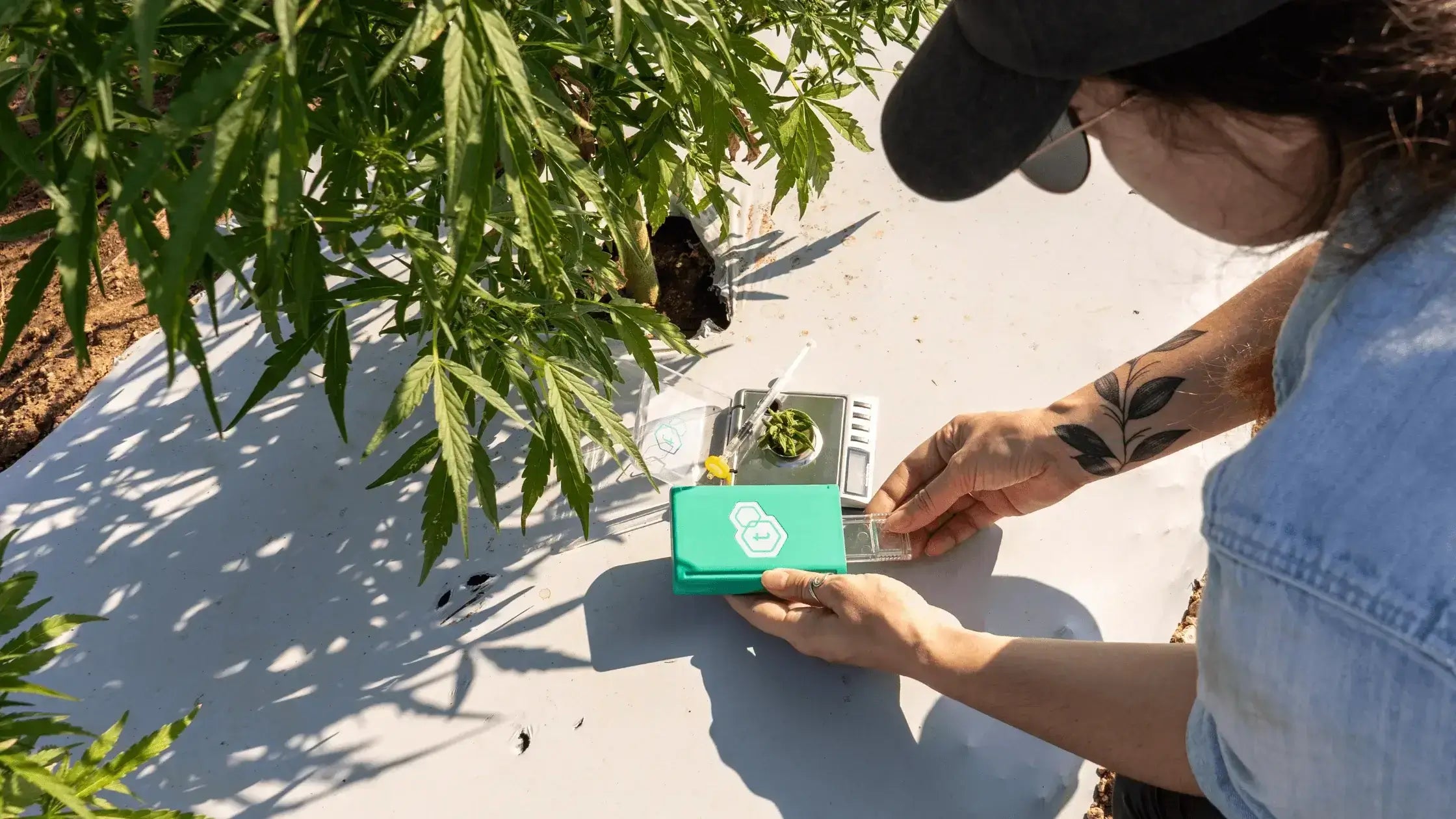 Cannabis Testing Equipment: How Much THC?