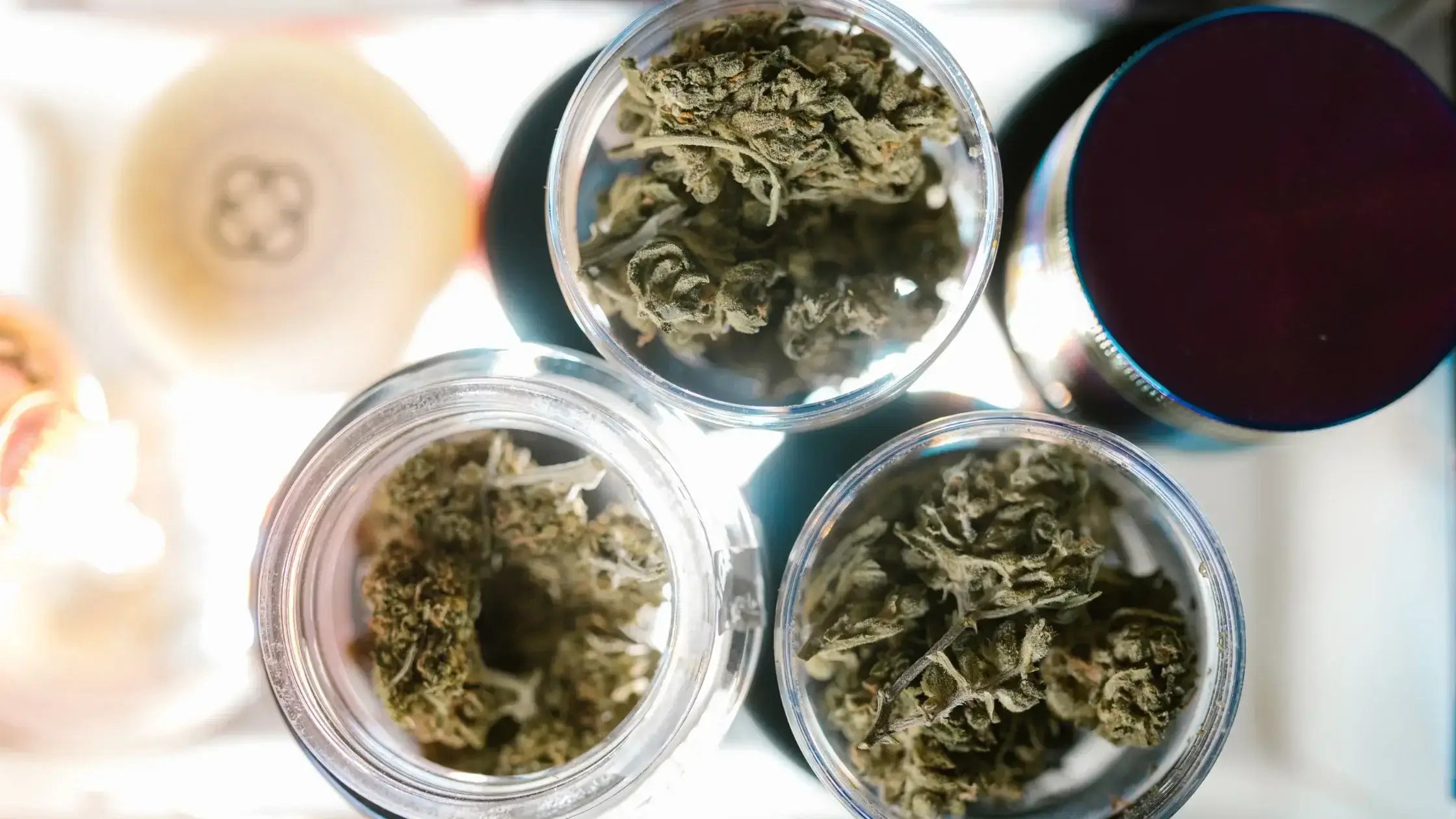 THC Tester: How to Measure THC Percentage and Potency