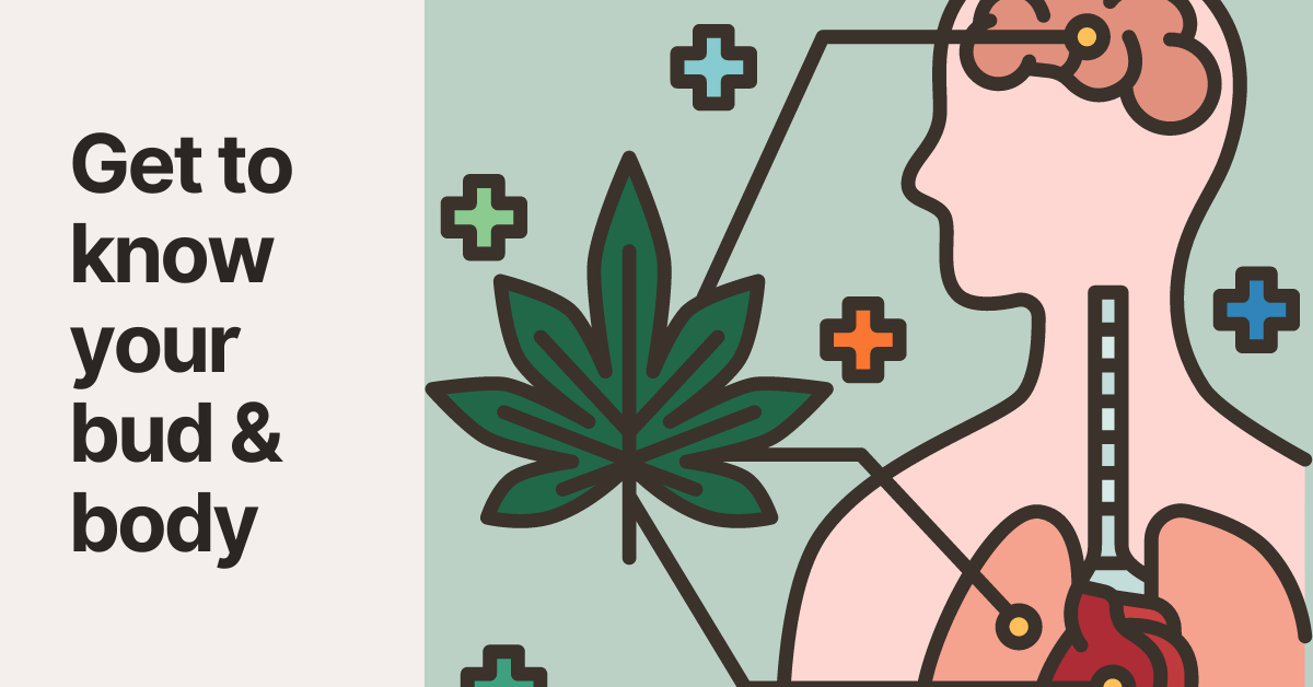 length of cannabis effects tcheck