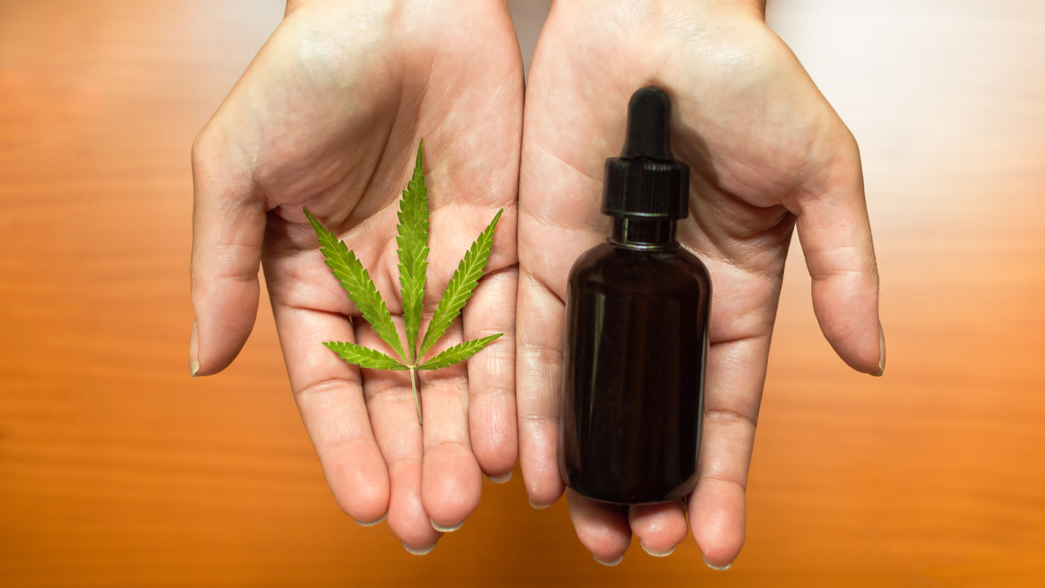 Test Cannabis Edible Potency at Home | tCheck