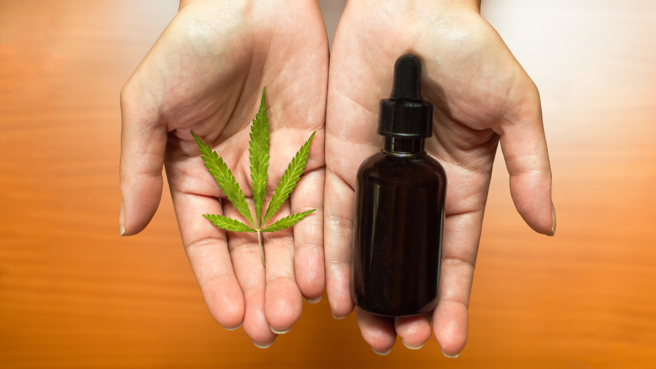 Test Cannabis Edible Potency at Home | tCheck