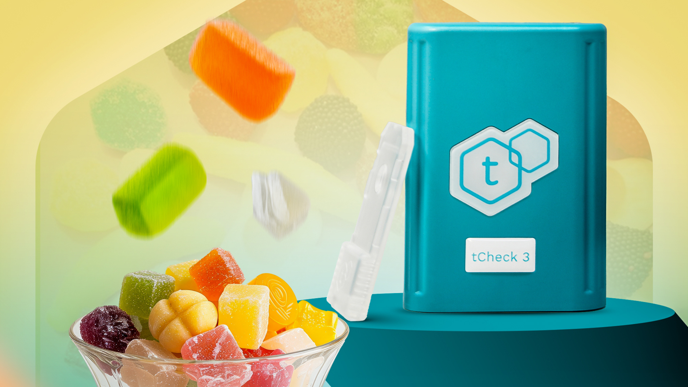 Know Your Options: Which tCheck Is Right for You?