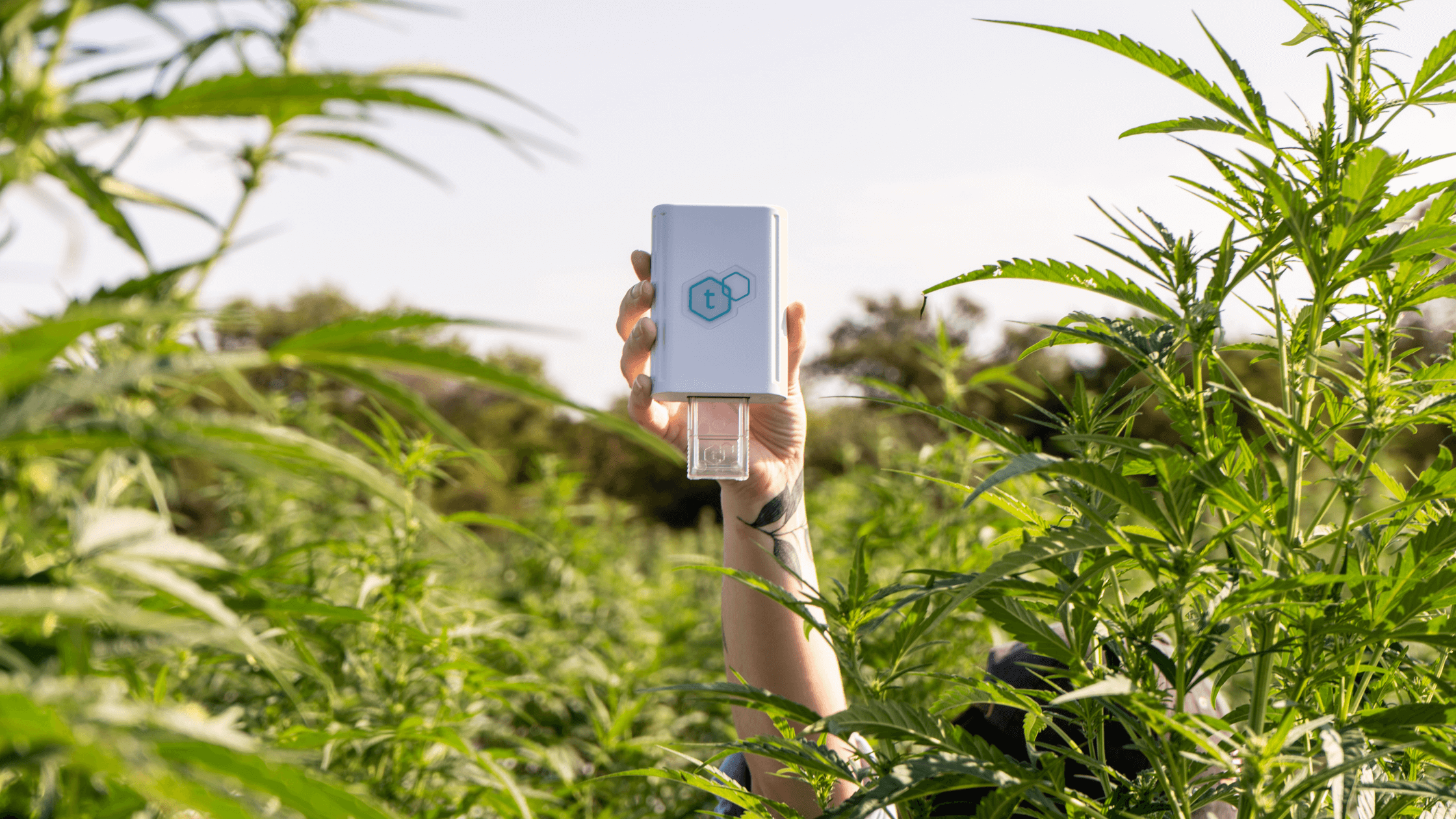 tCheck field testing