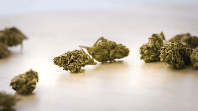 How to Decarb Weed: 4 Easy Methods That Actually Work | tCheck