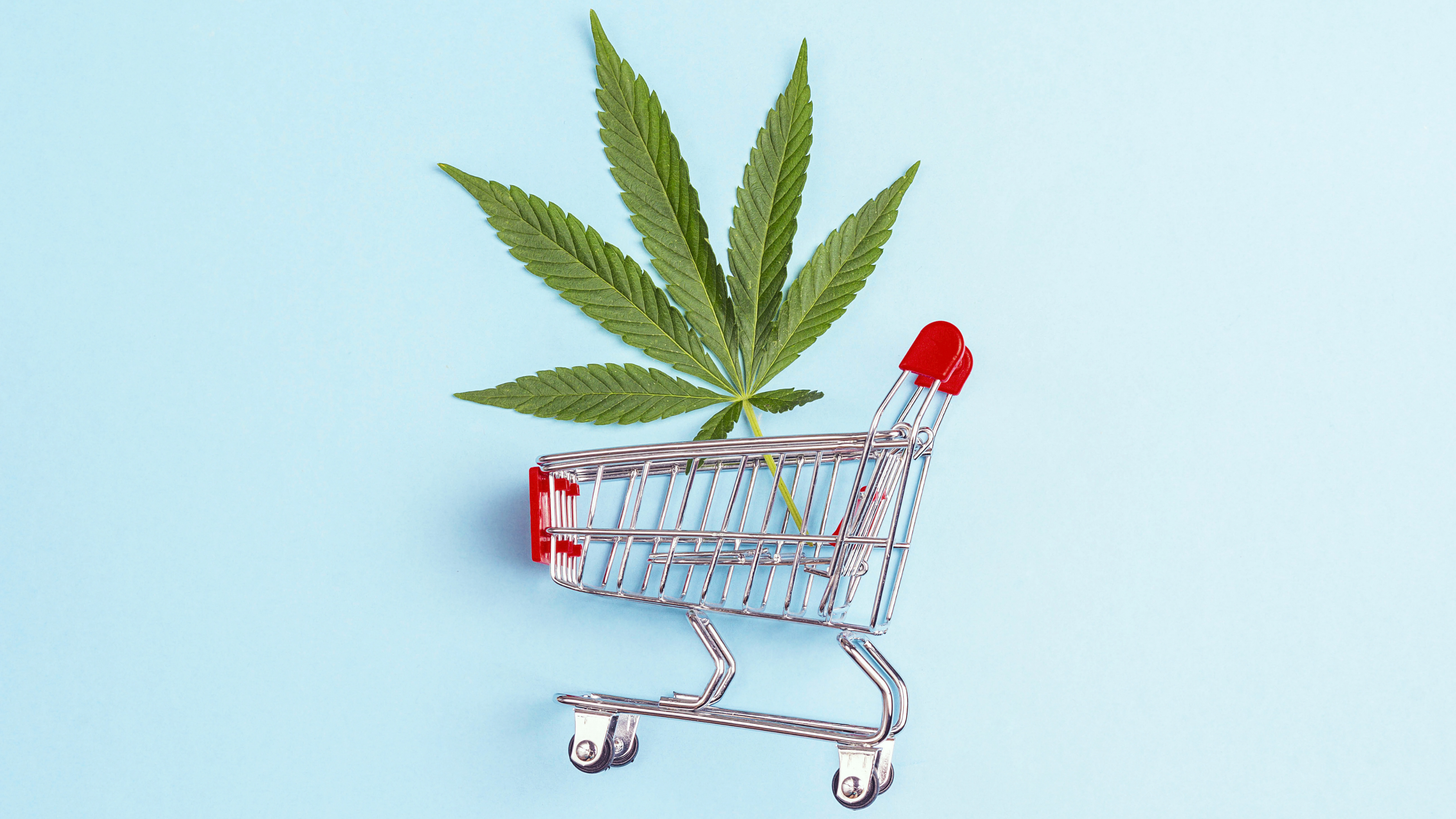 Tips for gauging cannabis consumer patterns for small businesses