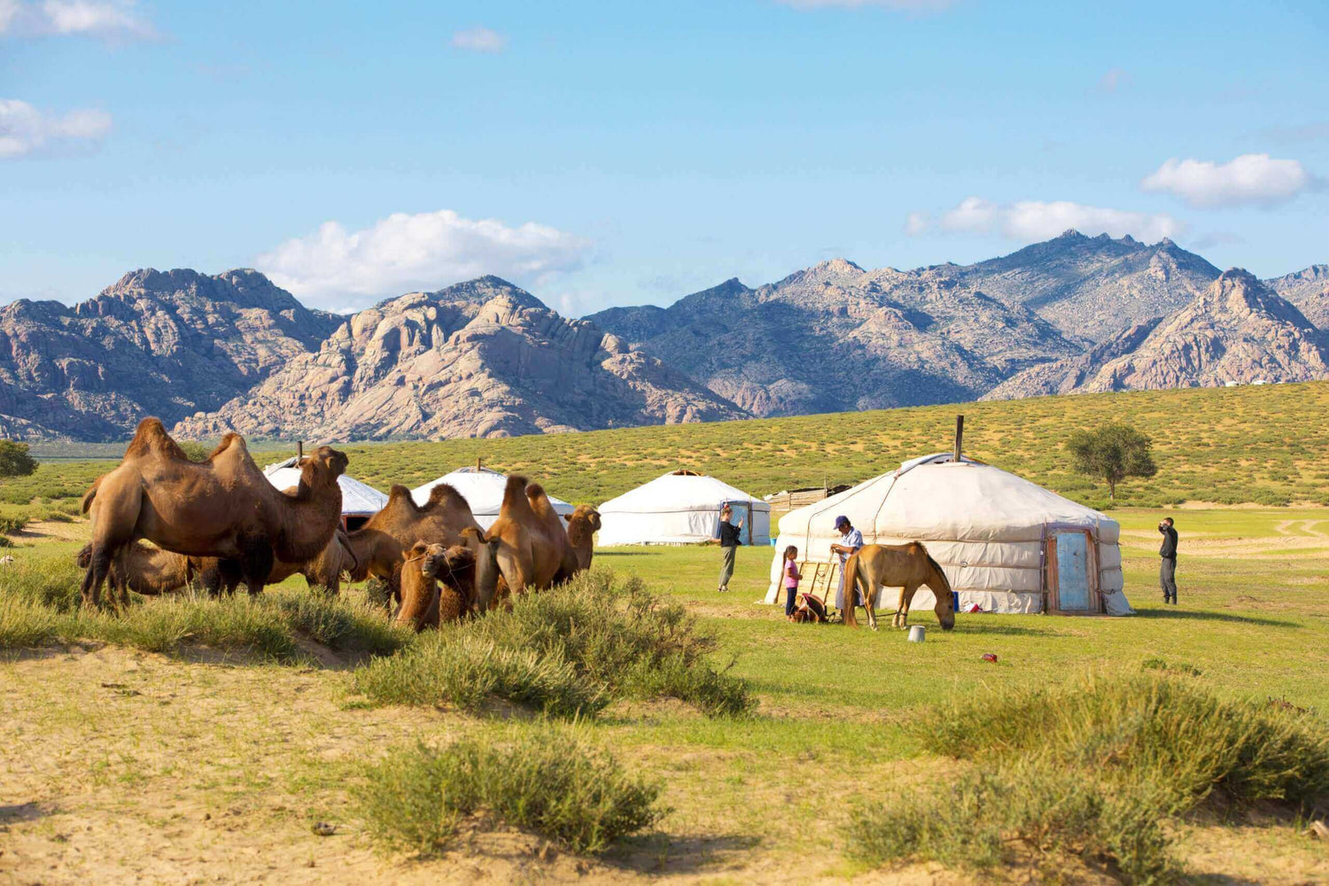 From Central Asia to Center Stage a brief overview of cannabis history