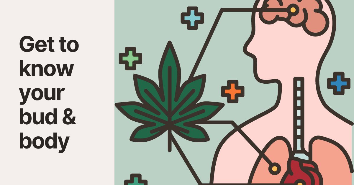 length of cannabis effects tcheck