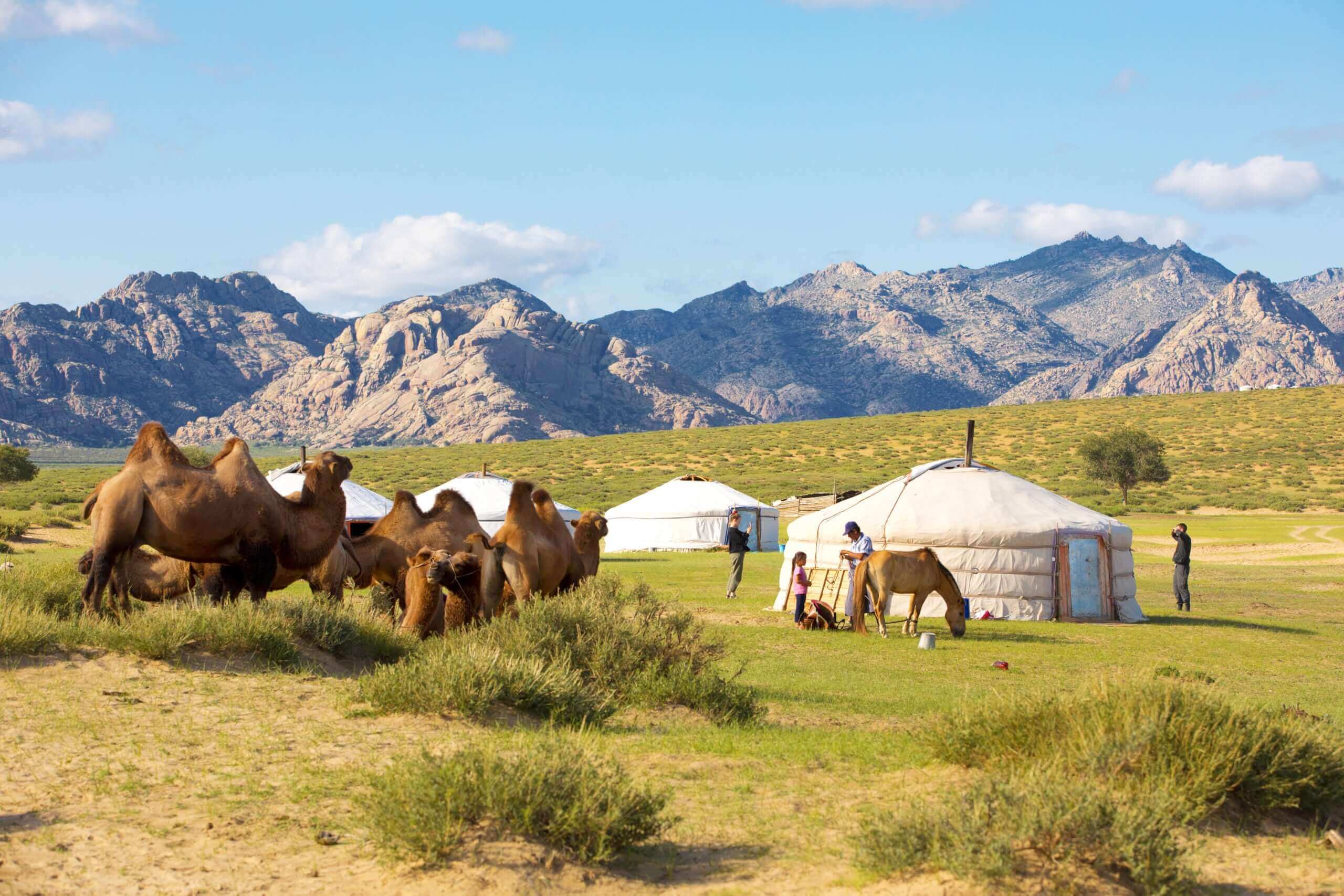 From Central Asia to Center Stage a brief overview of cannabis history