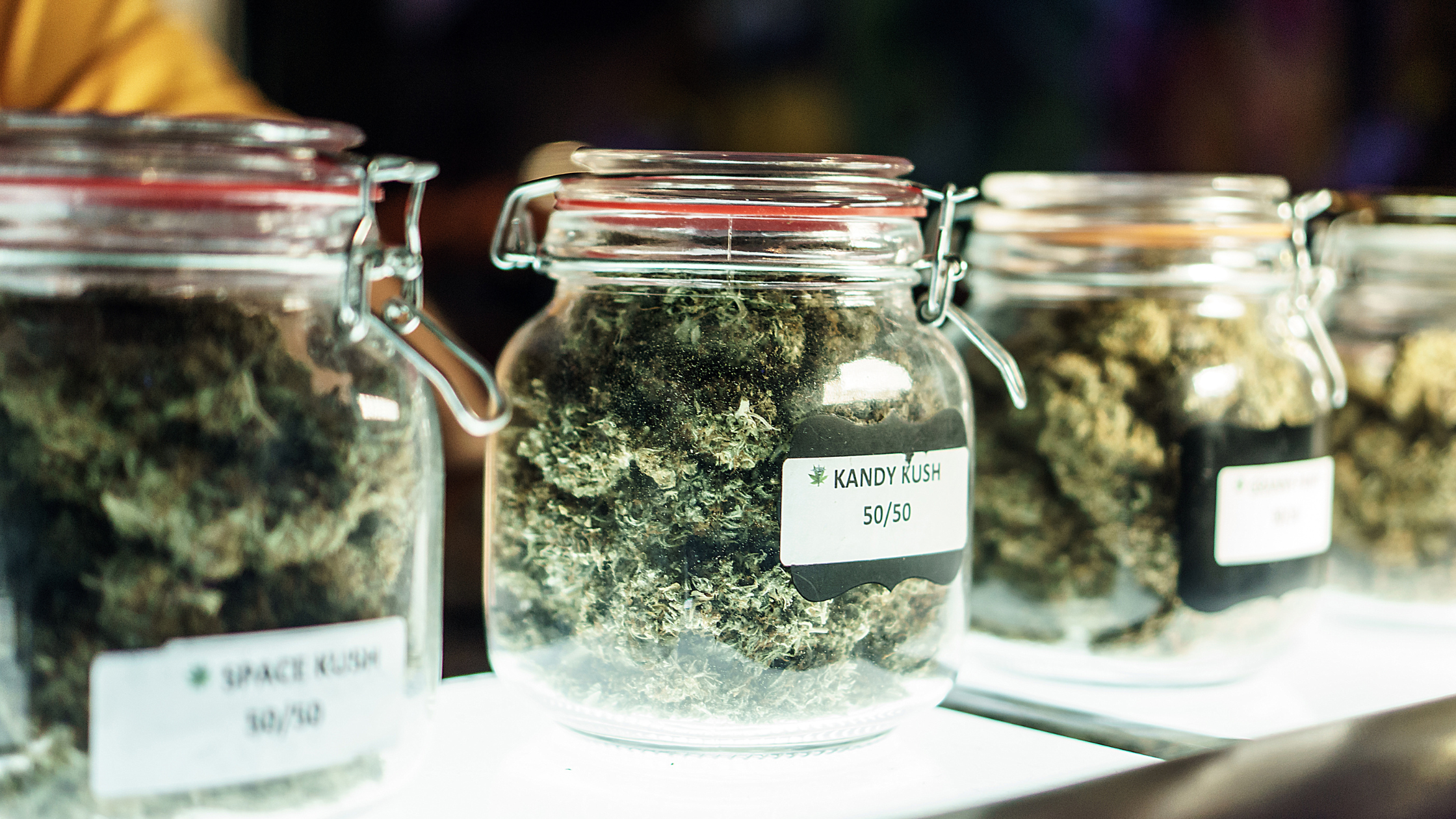 Indica vs. Sativa: Understanding the Difference in Cannabis Strains