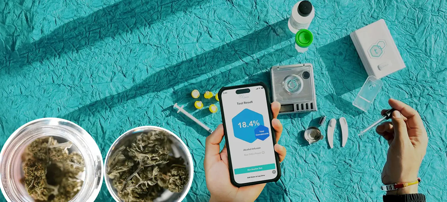 cannabinoid test device